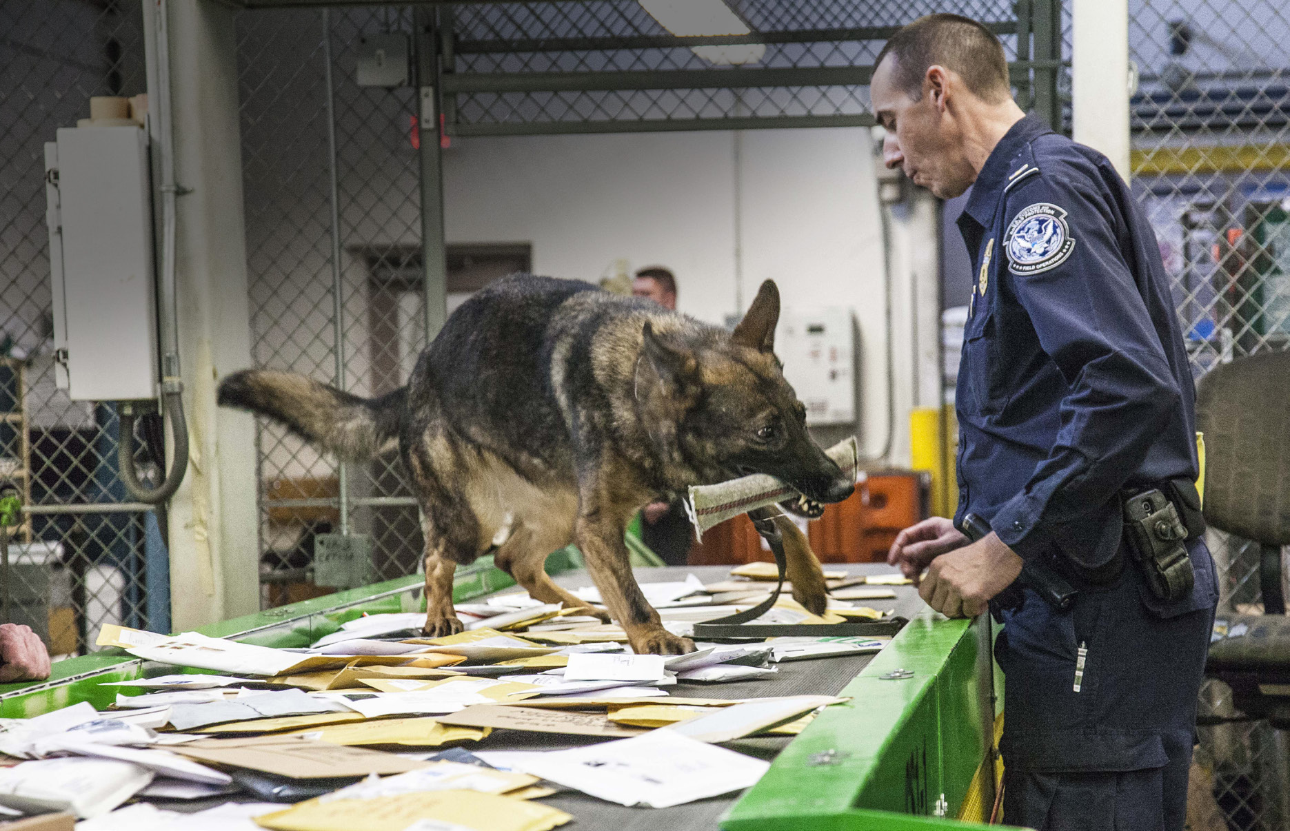 CBP Officer rewards his dog after locating narcotics.