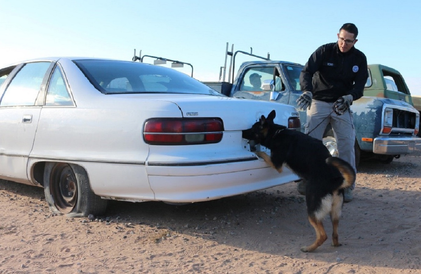CBP Officer conducts a vehicle search during training with a canine.