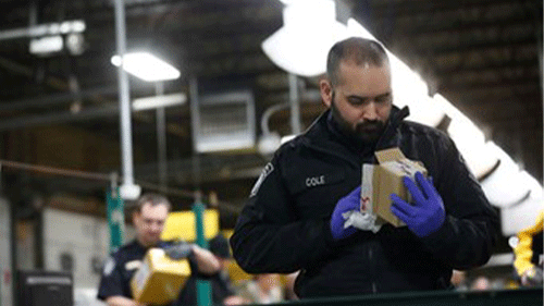 CBP Officer investigating small package.