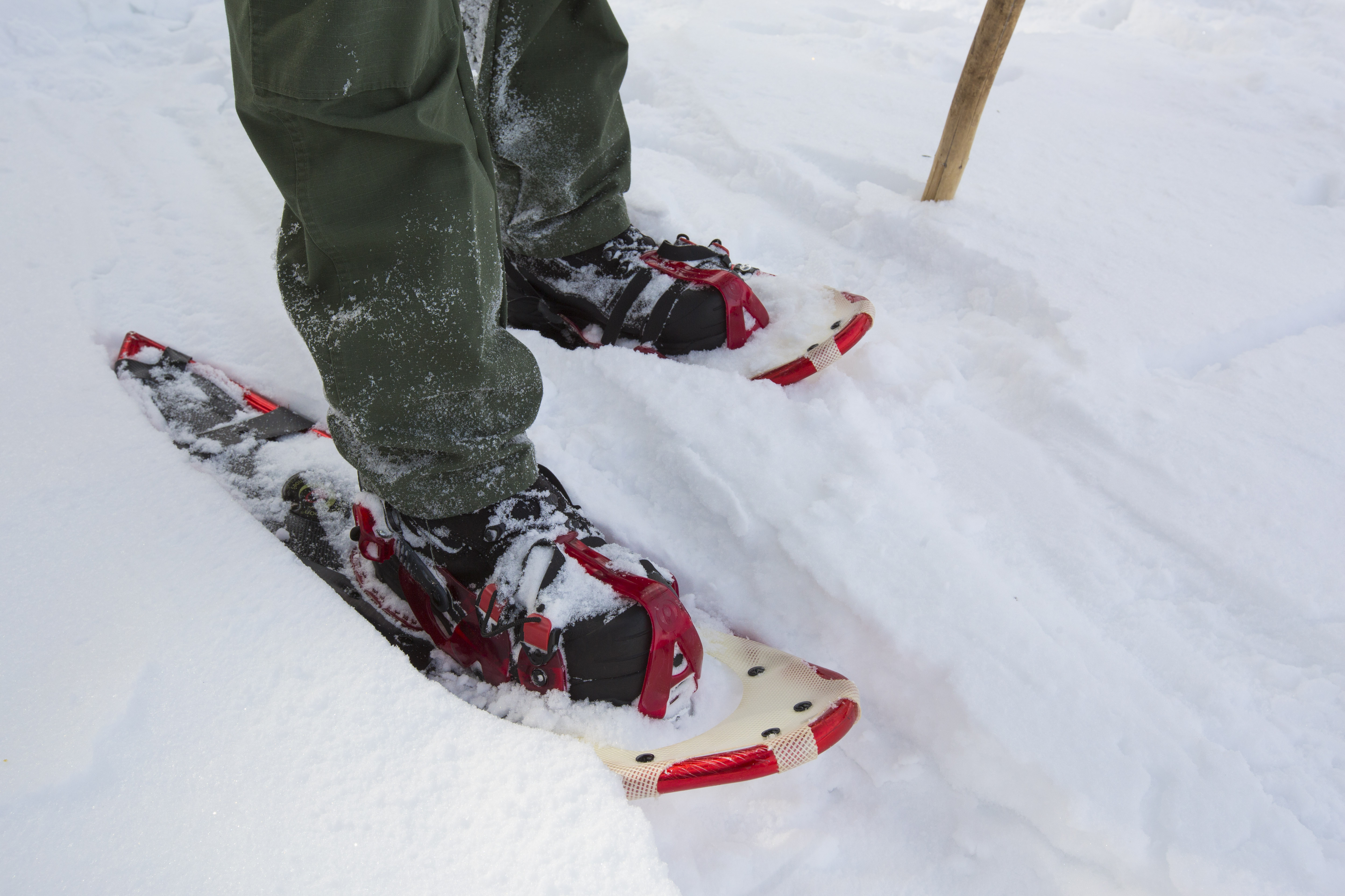 Photo of a Border Patrol agent's snowshoes
