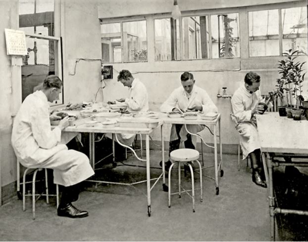 Laboratory in the Department of Agriculture's Federal Horticultural Board Inspection House 