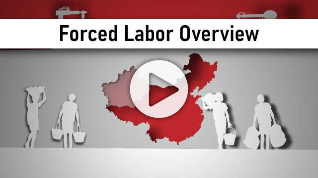 View Forced Labor Overview Video