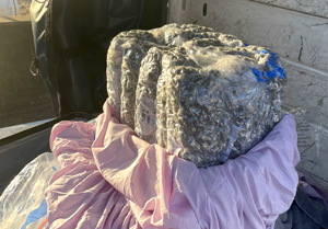 U.S. Customs and Border Protection officers seized 53 pounds of marijuana from a Paris-bound Maryland woman’s baggage on March 12, 2024, at Washington Dulles International Airport.
