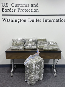 CBP is seeing an increasing trend in passengers smuggling bulk amounts of marijuana overseas. Highly potent weed is fetching premium prices in Europe.