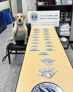 U.S. Customs and Border Protection officers urge travelers to comply with U.S. laws and to learn about CBP’s international arrivals and departures inspections after officers seized $90,000 in unreported currency from five separate travelers at Washington Dulles International Airport during August.