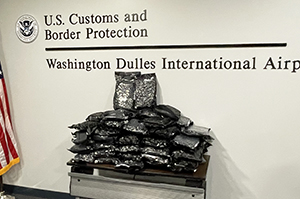 Metropolitan Washington Airports Authority Police officers arrested a Texas woman after U.S. Customs and Border Protection officers discovered 71 pounds of marijuana in her baggage on November 22, 2024.