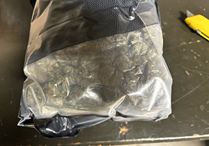 U.S. Customs and Border Protection officers seized a combined 343 pounds of marijuana on November 6 and November 8, 2024, that was being shipped from California to the United Kingdom.