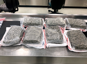 One week after seizing 72 pounds of California marijuana destined to Ireland, U.S. Customs and Border Protection officers in Philadelphia seized about eight pounds of New Jersey marijuana destined to Bermuda on May 2, 2023. High-potency U.S. marijuana is fetching prices several times higher than in the United States; however, CBP warns the public that marijuana possession and distribution remains illegal under federal law.