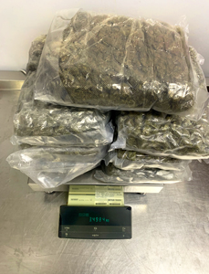 One week after seizing 72 pounds of California marijuana destined to Ireland, U.S. Customs and Border Protection officers in Philadelphia seized about eight pounds of New Jersey marijuana destined to Bermuda on May 2, 2023. High-potency U.S. marijuana is fetching prices several times higher than in the United States; however, CBP warns the public that marijuana possession and distribution remains illegal under federal law. 