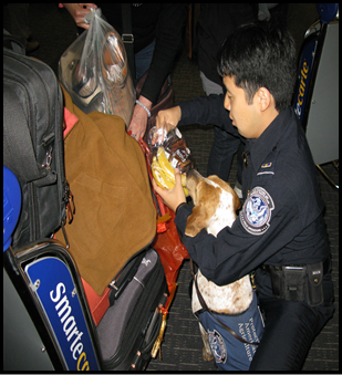 CBP Agriculture Specialist Canine Teams (Photo 10)