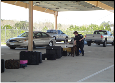 CBP Agriculture Specialist Canine Teams (Photo 5)