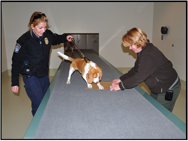CBP Agriculture Specialist Canine Teams (Photo 6)