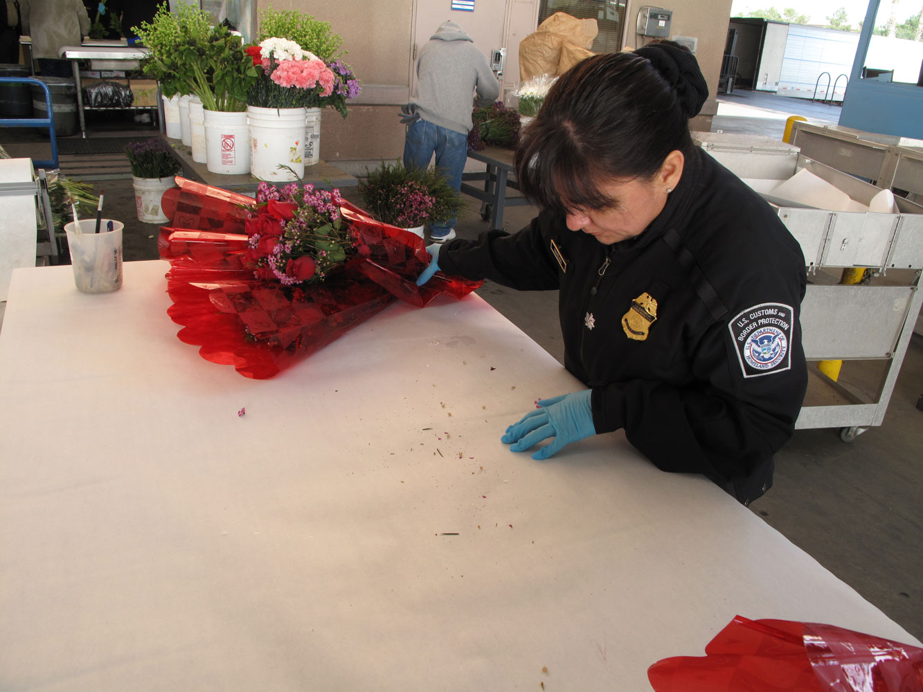 CBP Flower Inspections