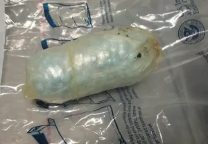 Fentanyl filled bundle seized by CBP officers.