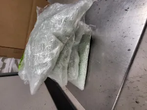 Ysleta port of entry 10.2-pound fentanyl seizure.