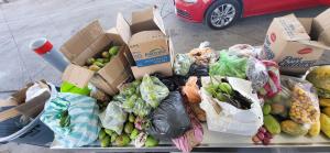 A collection of various fruits and prohibited agricultural items intercepted by CBP officers and agriculture specialists at Laredo Port of Entry.