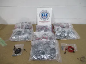 Counterfeit “In-Ear” Beats discovered at the Port of Champlain, N.Y.