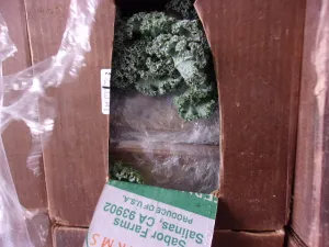 Meth kale