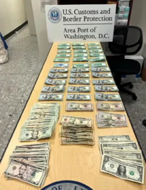 U.S. Customs and Border Protection officers seized more than $95,000 in unreported currency during three recent incidents.