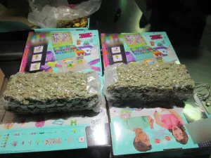 Vacuum-sealed marijuana with an approximate weight of 11 lbs. manifested as “Puzzle Activity Box”, discovered at the Lewiston, N.Y. border crossing.