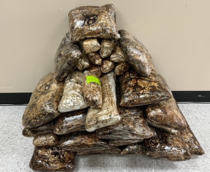 Packages containing nearly 209 pounds of methamphetamine seized by CBP officers at Progreso/Donna Port of Entry.