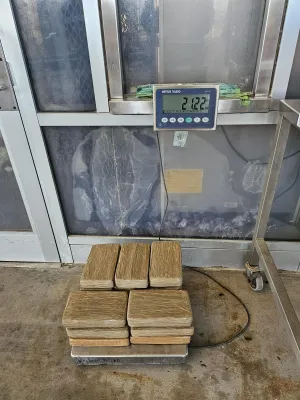 Packages containing nearly 47 pounds of cocaine seized by CBP officers at Pharr International Bridge.