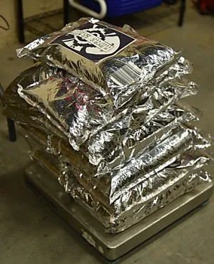 Bags containing nearly 61 pounds of dimethyltryptamine seized by CBP officers at Gateway to the Americas Bridge.