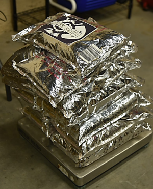 Bags containing nearly 61 pounds of dimethyltryptamine seized by CBP officers at Gateway to the Americas Bridge.