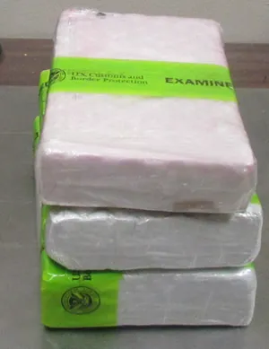 Packages containing nearly seven pounds of cocaine seized by CBP officers at Hidalgo International Bridge.