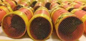 Finches in hair rollers seized at JFK Airport.