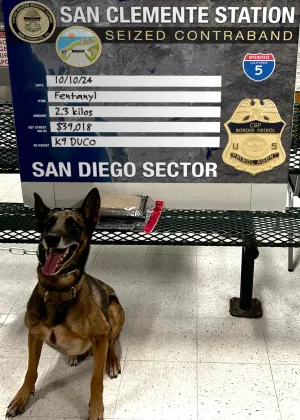 ""k-9 posed in front of seized narcotics 