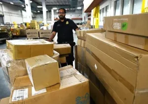 A CBP officer inspects packages at a mail facility