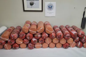 Rolls containing 748 pounds of prohibited Mexican pork bologna seized by CBP officers at Presidio Port of Entry.