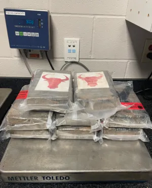 Packages containing more than 20 lbs. of cocaine seized by CBP officers at Del Rio Port of Entry.