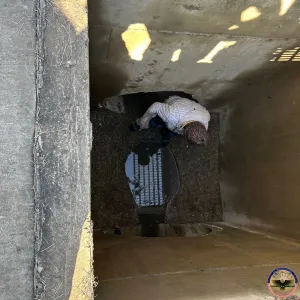 agents rescue migrants stuck inside a storm drain 