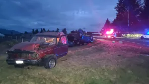 U.S. Border Patrol agents from the Sumas station responded to this accident scene.