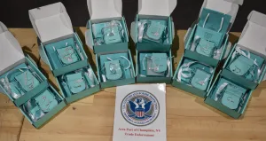 Seized counterfeit Tiffany & Co. Jewelry as an Intellectual Property Rights violation at the Port of Champlain, New York.