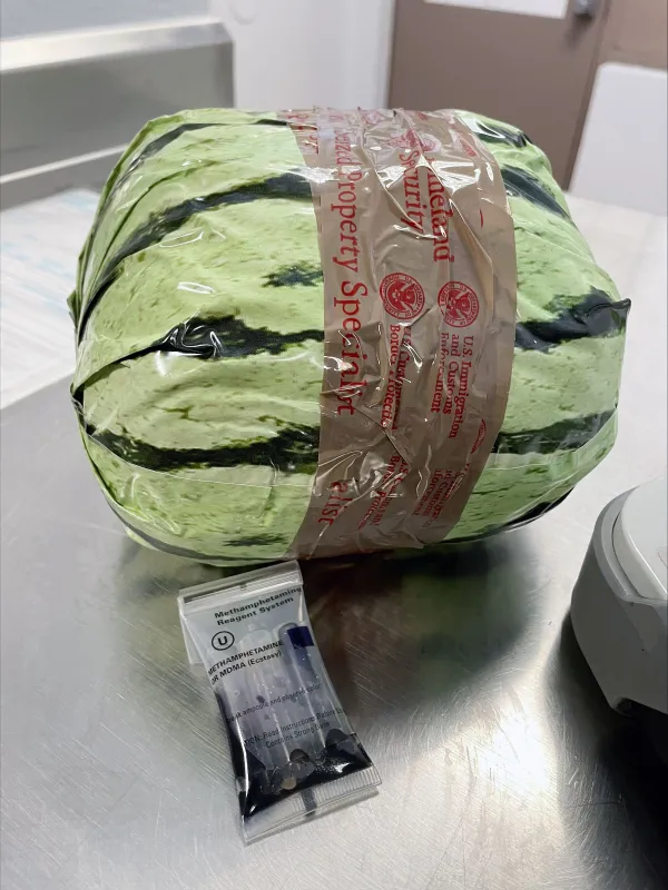 CBP Officers Discover $5 Million Worth of Methamphetamine in Disquised Watermelons 