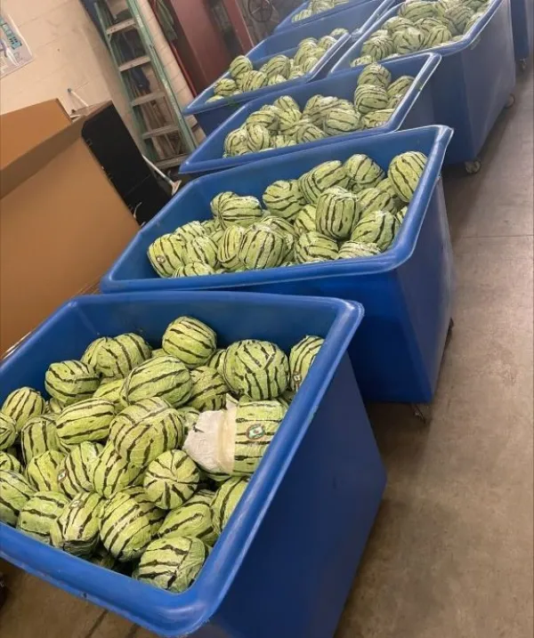 CBP Officers Discover $5 Million Worth of Methamphetamine in Watermelons  