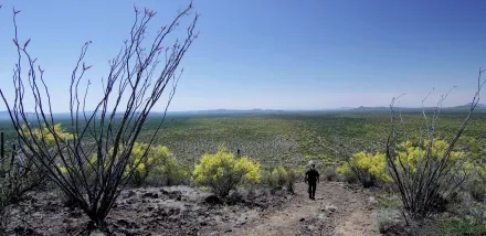 Photo of a Border Patrol agent descending a desert hill