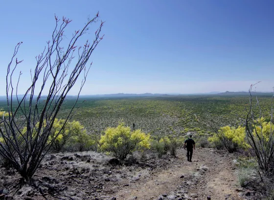 Photo of a Border Patrol agent descending a desert hill