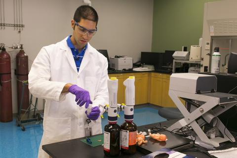 Lab technician tests toy dolls for banned chemical compounds.