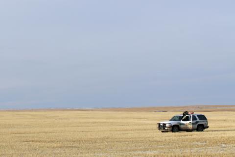 Border Patrol In Montana