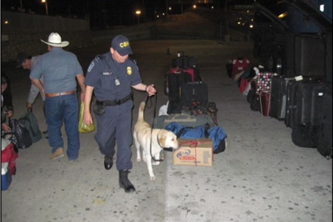 CBP Agriculture Specialist Canine Teams (Photo 2)