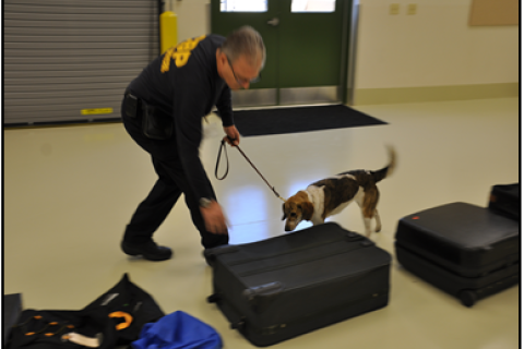 CBP Agriculture Specialist Canine Teams (Photo 3)