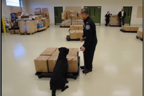CBP Agriculture Specialist Canine Teams (Photo 4)