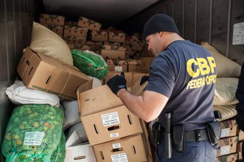 CBP officer inspects truck cargo at Brooklyn, N.Y. port.