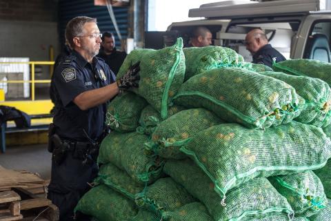 CBP officer inspect shipment of peppers.