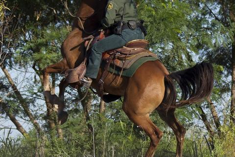 A Border Patrol agent navigates rough terrain near McAllen, Texas on horseback.