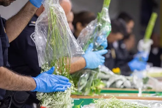 CBP agriculture specialists examine imported flowers at the Port of Miami, Florida.